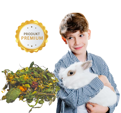 Mieszanka codzienna premium