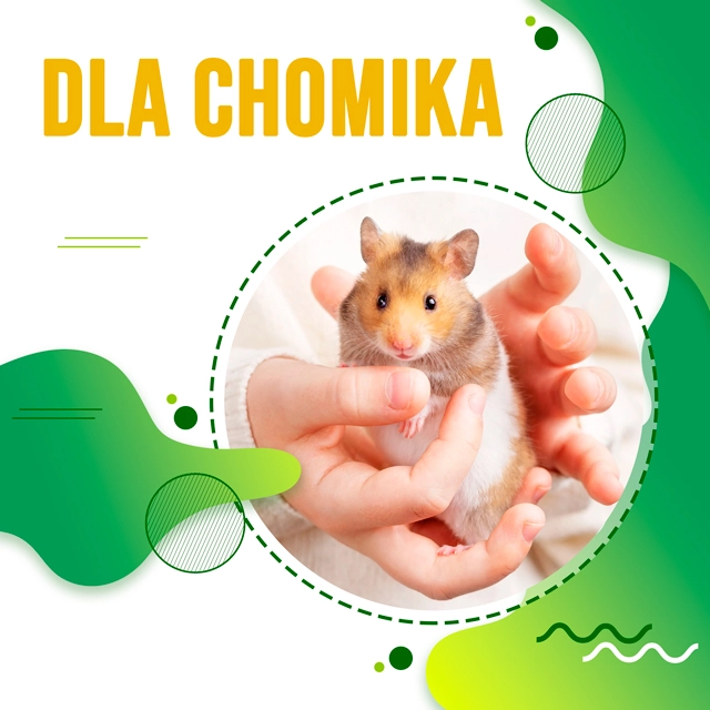 Dla chomika