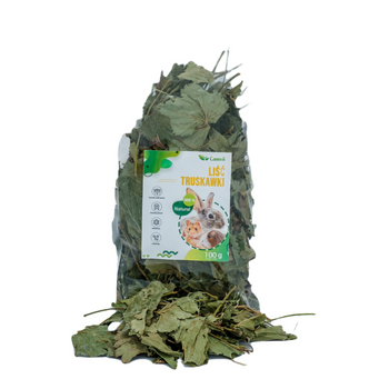 Liść Truskawki 100g dla królika i gryzoni